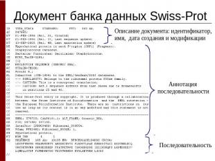Документ банка данных Swiss-ProtОписание документа: идентификатор, имя, дата соз