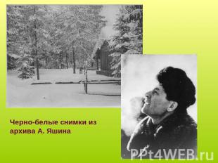 Черно-белые снимки из архива А. Яшина