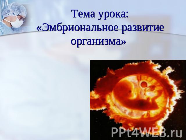 Тема урока:«Эмбриональное развитие организма»