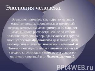 Эволюция человека.Эволюция приматов, как и других отрядов млекопитающих, происхо