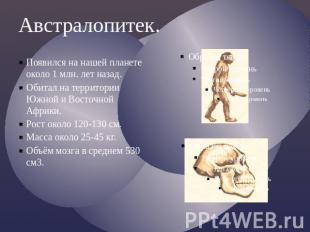 Австралопитек.Появился на нашей планете около 1 млн. лет назад.Обитал на террито