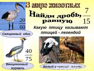 В мире животныхНайди дробь, равнуюКакую птицу называютптицей - легендойСвященный