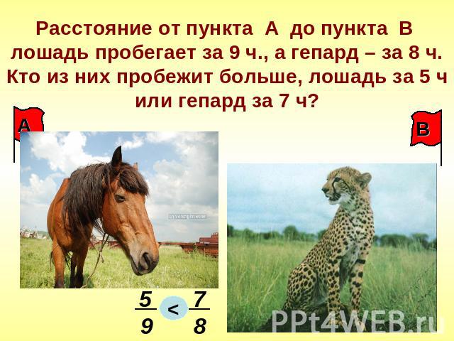 Расстояние от пункта А до пункта В лошадь пробегает за 9 ч., а гепард – за 8 ч.Кто из них пробежит больше, лошадь за 5 ч или гепард за 7 ч?