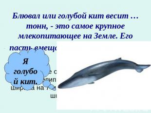 Блювал или голубой кит весит … тонн, - это самое крупное млекопитающее на Земле.