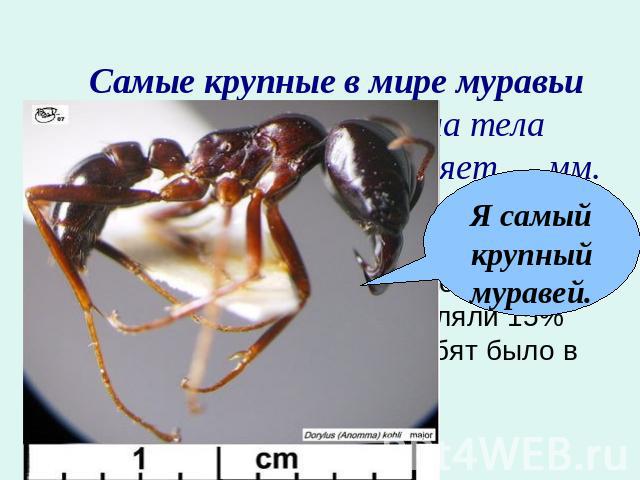Самые крупные в мире муравьи живут в Африке. Длина тела рабочего муравья составляет … мм.На водопой пригнали 220 лошадей и жеребят. Жеребята составляли 15% всего табуна. Сколько жеребят было в табуне?