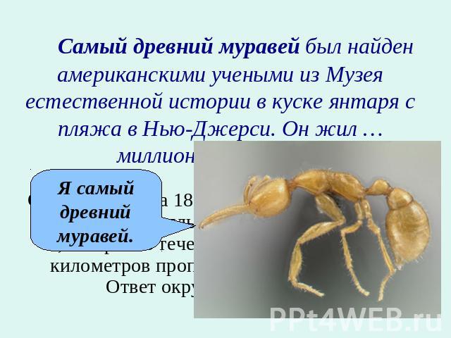 Самый древний муравей был найден американскими учеными из Музея естественной истории в куске янтаря с пляжа в Нью-Джерси. Он жил … миллионов лет назад.Скорость катера 18,4 км/ч, а скорость течения 3,8 км/ч. Катер плыл 3,2 ч по течению реки и 4,3 ч п…