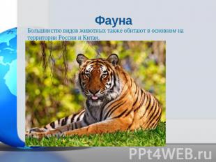 ФаунаБольшинство видов животных также обитают в основном на территории России и
