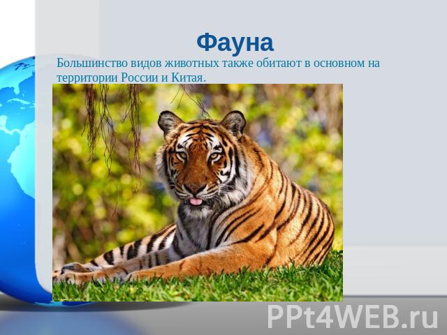 ФаунаБольшинство видов животных также обитают в основном на территории России и Китая.