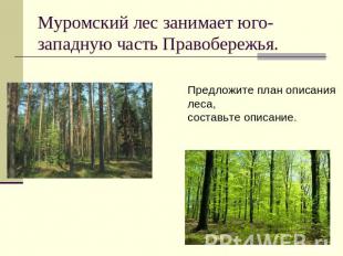 Муромский лес занимает юго-западную часть Правобережья.Предложите план описания