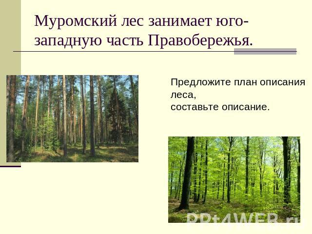 Муромский лес занимает юго-западную часть Правобережья.Предложите план описания леса, составьте описание.