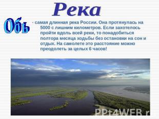 РекаО б ь самая длинная река России. Она протянулась на 5000 с лишним километров