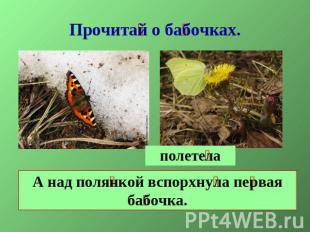 Прочитай о бабочках.полетелаА над полянкой вспорхнула первая бабочка
