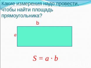 Какие измерения надо провести, чтобы найти площадь прямоугольника?