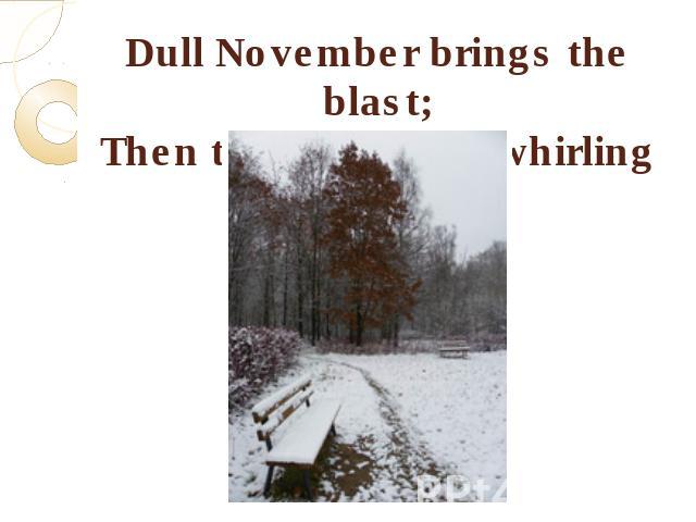 Dull November brings the blast;Then the leaves are whirling fast.