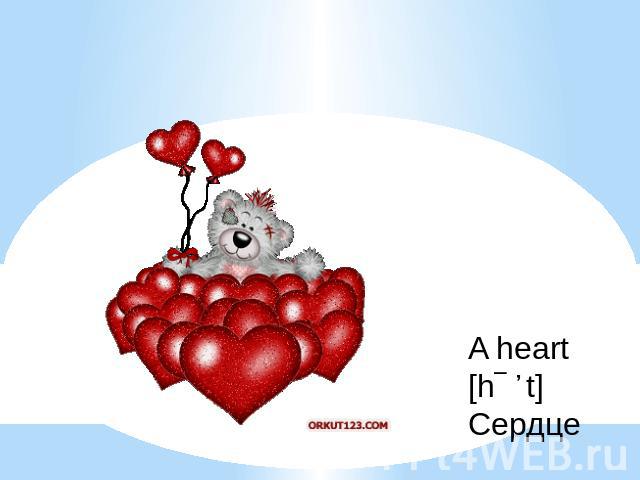 A heart Сердце