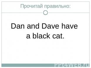 Прочитай правильно:Dan and Dave have a black cat.