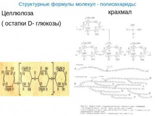Структурные формулы молекул - полисахариды:Целлюлоза ( остатки D- глюкозы)