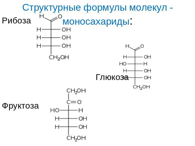 Структурные формулы молекул - моносахариды:Рибоза ГлюкозаФруктоза