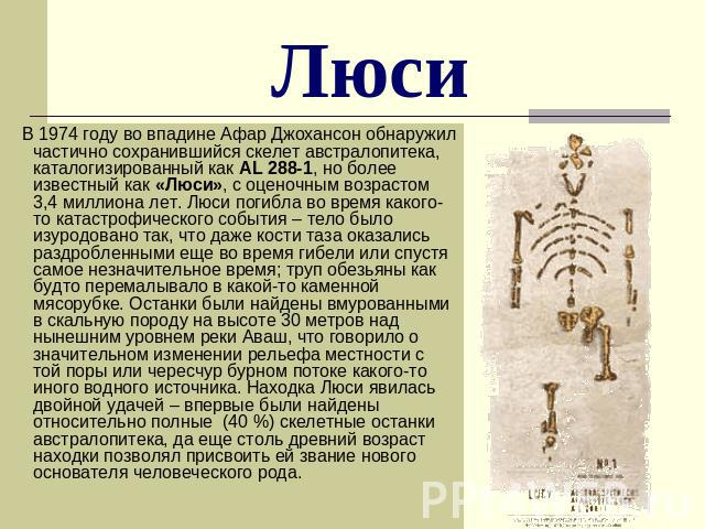 Люси В 1974 году во впадине Афар Джохансон обнаружил частично сохранившийся скелет австралопитека, каталогизированный как AL 288-1, но более известный как «Люси», с оценочным возрастом 3,4 миллиона лет. Люси погибла во время какого-то катастрофическ…