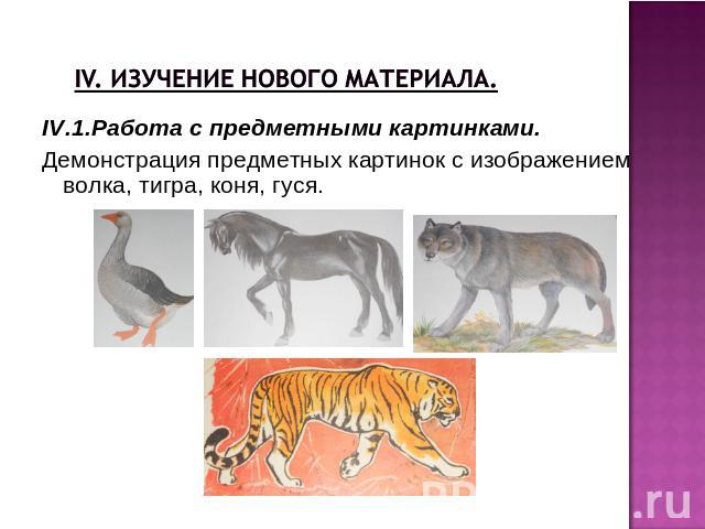 IV. Изучение нового материала.IV.1.Работа с предметными картинками.Демонстрация предметных картинок с изображением волка, тигра, коня, гуся.
