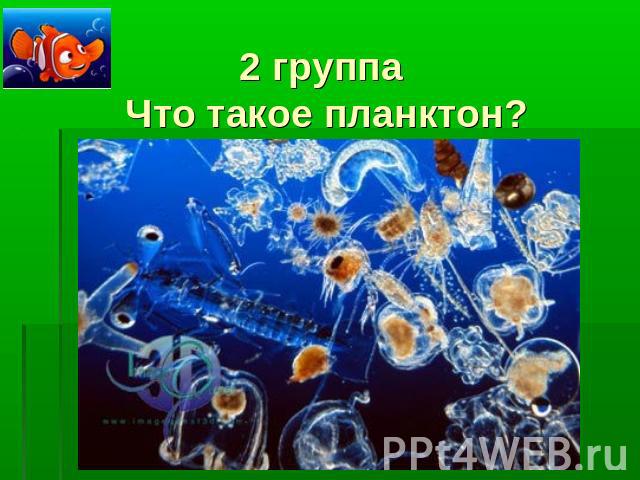 2 группа Что такое планктон?