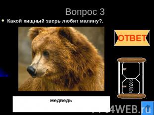 Вопрос 3Какой хищный зверь любит малину?.медведь
