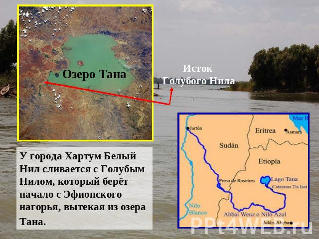 Озеро Тана У города Хартум Белый Нил сливается с Голубым Нилом, который берёт начало с Эфиопского нагорья, вытекая из озера Тана. Исток Голубого Нила