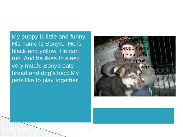 My puppy is little and funny. His name is Bonya. He is black and yellow. He can run. And he likes to sleep very much. Bonya eats bread and dog’s food.My pets like to play together.