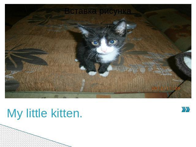 My little kitten.My name is Stanislav. I’ve got a pet. It’s a kitten. It is black and white. His body is black. And his paws are white. He’s got