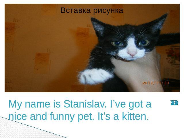 My name is Stanislav. I’ve got a nice and funny pet. It’s a kitten.