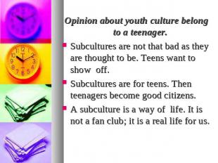 Opinion about youth culture belong to a teenager.Subcultures are not that bad as