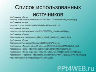 Список использованных источниковИзображение «Тигр» http://img.mota.ru/upload/wal