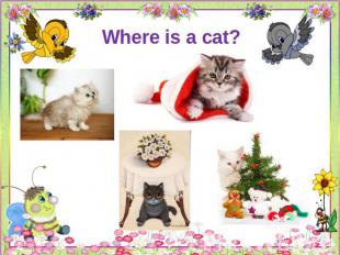 Where is a cat?