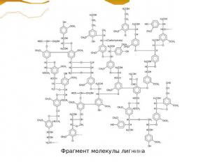 Фрагмент молекулы лигнина