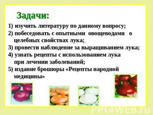 Задачи:изучить литературу по данному вопросу; 2) побеседовать с опытными овощево