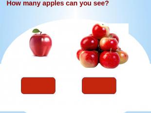 How many apples can you see?