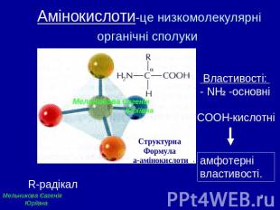 Амінокислоти-це низкомолекулярні органічні сполуки Властивості: - NH2 -основніам