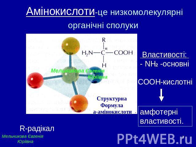 Амінокислоти-це низкомолекулярні органічні сполуки Властивості: - NH2 -основніамфотерні властивості.