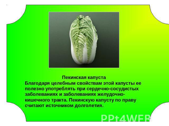 Пекинская капустаБлагодаря целебным свойствам этой капусты ее полезно употреблять при сердечно-сосудистых заболеваниях и заболеваниях желудочно-кишечного тракта. Пекинскую капусту по праву считают источником долголетия.