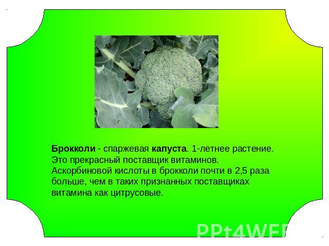 Брокколи - спаржевая капуста. 1-летнее растение.Это прекрасный поставщик витаминов. Аскорбиновой кислоты в брокколи почти в 2,5 раза больше, чем в таких признанных поставщиках витамина как цитрусовые.