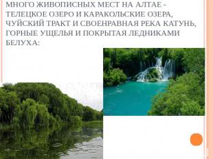 Много живописных мест на Алтае - Телецкое озеро и Каракольские озера, Чуйский тр
