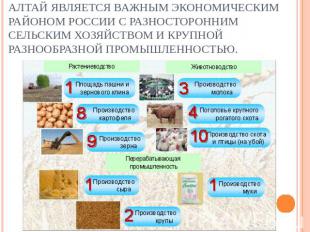 Алтай является важным экономическим районом России с разносторонним сельским хоз