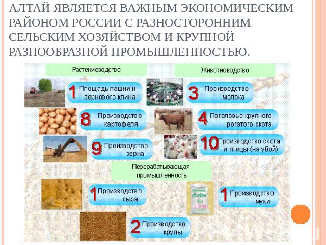 Алтай является важным экономическим районом России с разносторонним сельским хозяйством и крупной разнообразной промышленностью.