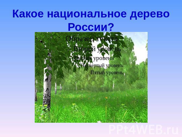 Какое национальное дерево России?
