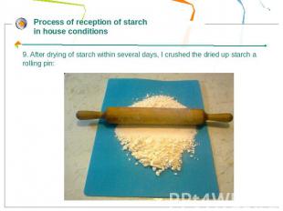 Process of reception of starch in house conditions9. After drying of starch with