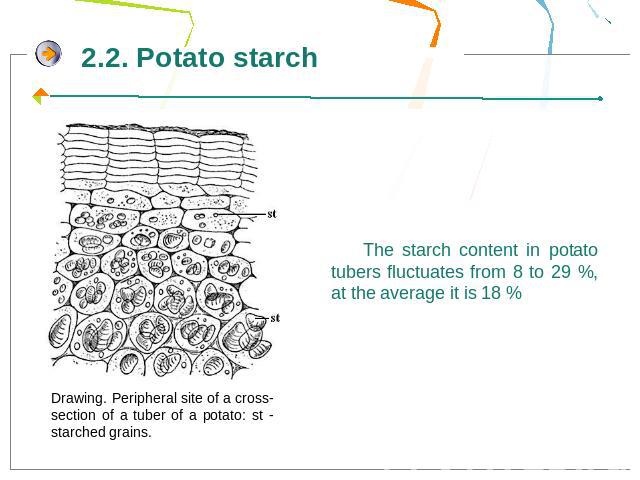 The starch content in potato tubers fluctuates from 8 to 29 %, at the average it is 18 %
