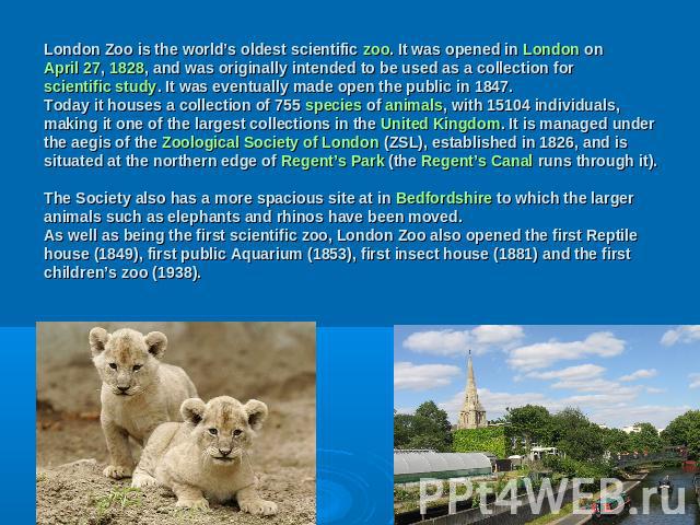 London Zoo is the world’s oldest scientific zoo. It was opened in London on April 27, 1828, and was originally intended to be used as a collection for scientific study. It was eventually made open the public in 1847. Today it houses a collection of …