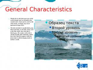 General CharacteristicsWhales live in all of the open seas of the world, though