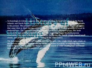 Archaeological evidence suggests that primitive whaling, by Inuit and others in