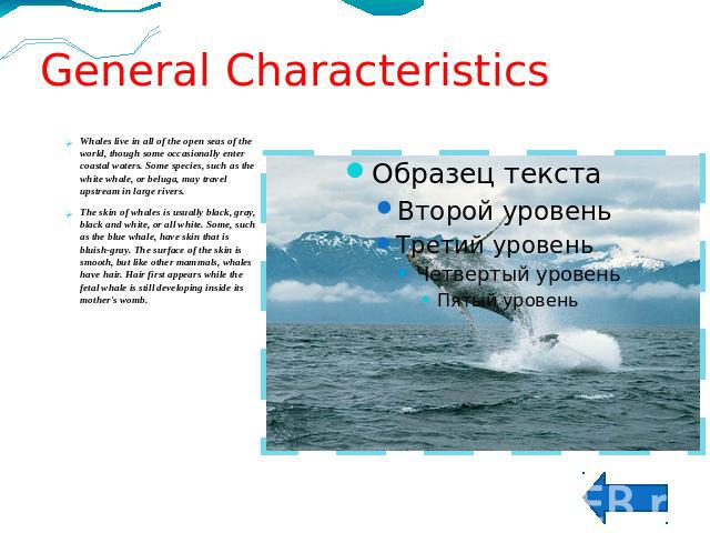 General CharacteristicsWhales live in all of the open seas of the world, though some occasionally enter coastal waters. Some species, such as the white whale, or beluga, may travel upstream in large rivers. The skin of whales is usually black, gray,…